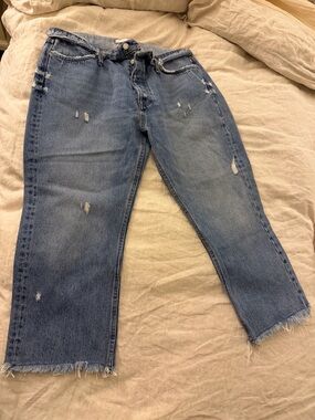 Zara Ankle Distressed Barrel Jeans -